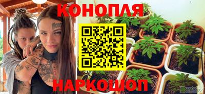 стафф Обнинск
