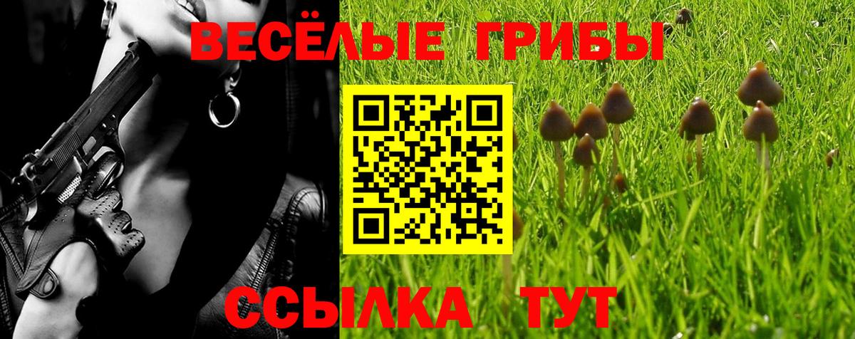 Галлюциногенные грибы мицелий  наркотики  Вход с VPN  Ревда  Псилоцибиновые грибы Psilocybe 
